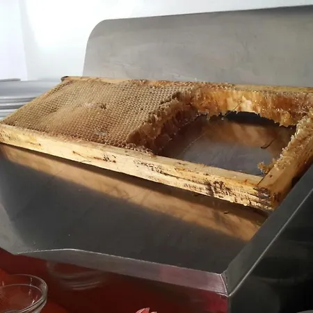 Caribia Pinarella מלון 3*