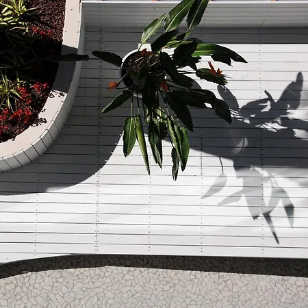 Caribia Pinarella Hotel Cervia