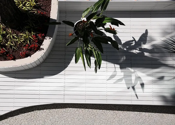 Caribia Pinarella Hotel Cervia