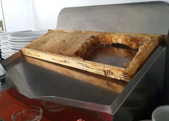 Caribia Pinarella فندق 3*